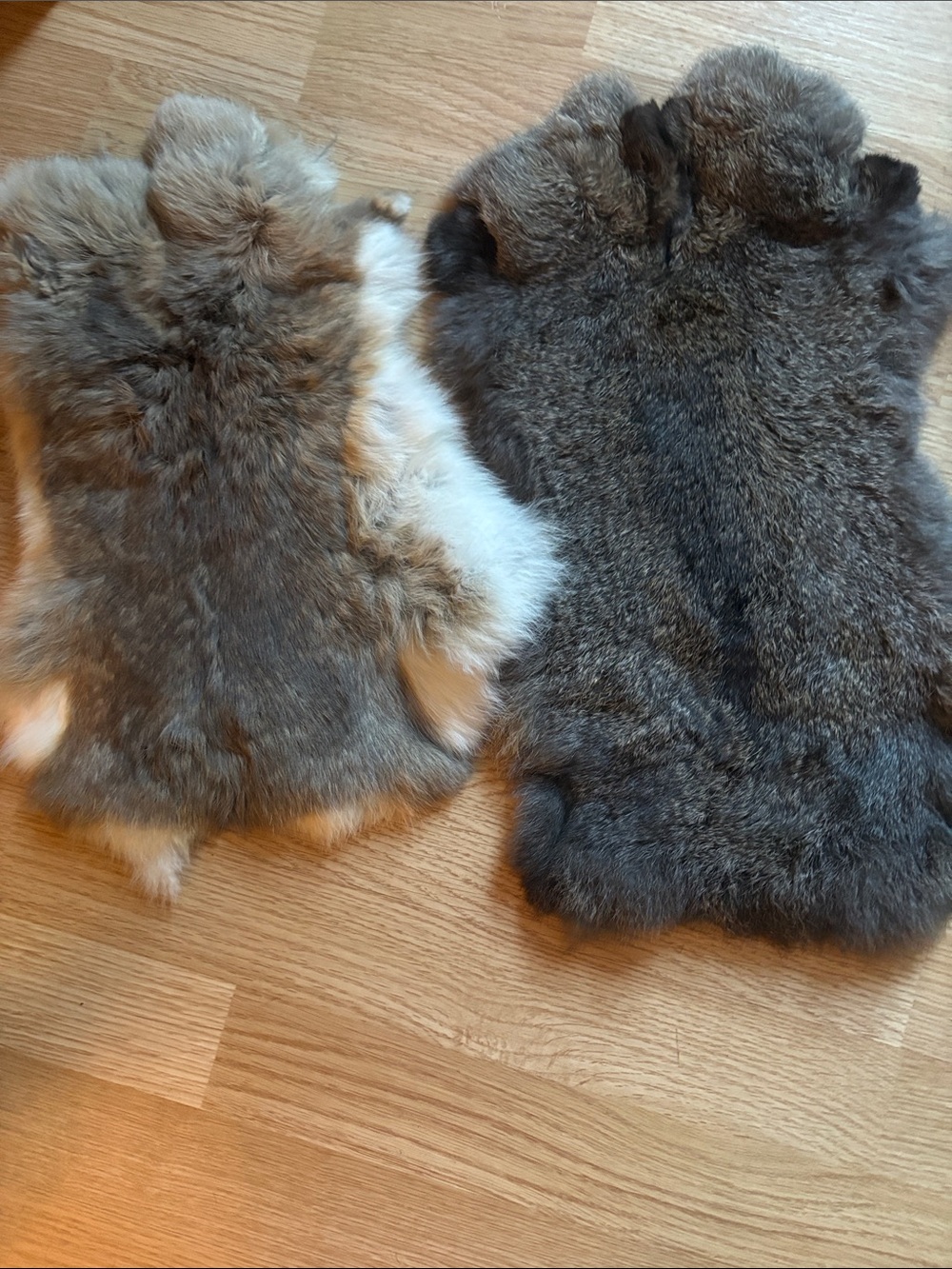 B0178 pair rabbit pelts